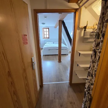 Cozy One-room 公寓 *