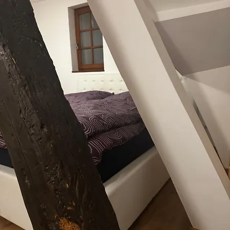 Cozy One-room