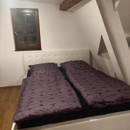 Appartement Cozy One-room *