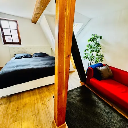 Cozy One-room 公寓